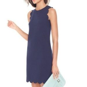 NWT  J. Crew Scalloped Navy Dress